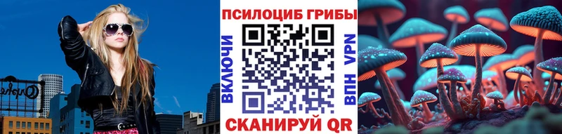 Галлюциногенные грибы MAGIC MUSHROOMS  Александровское 